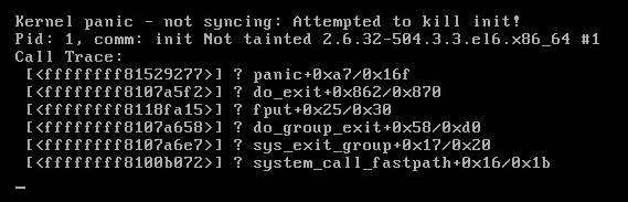 1-kernel-panic